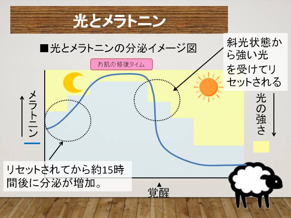 光とメラトニン