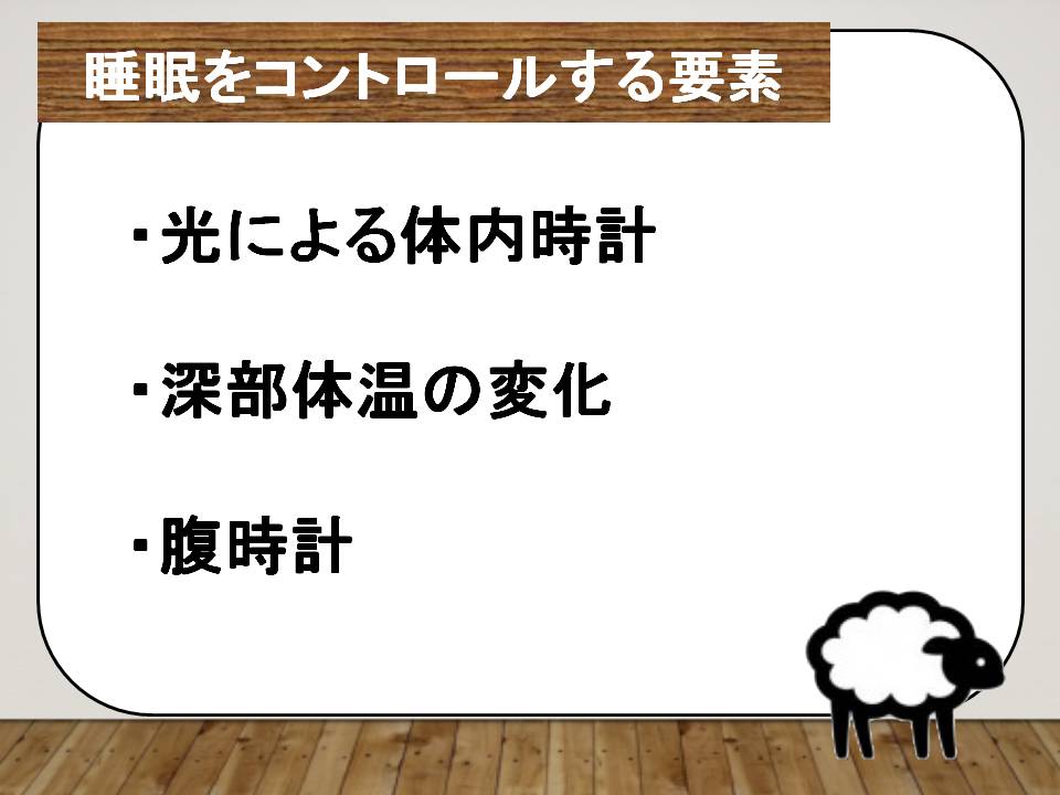 眠りの質を高める三大要素「光」「体温」「腹時計」