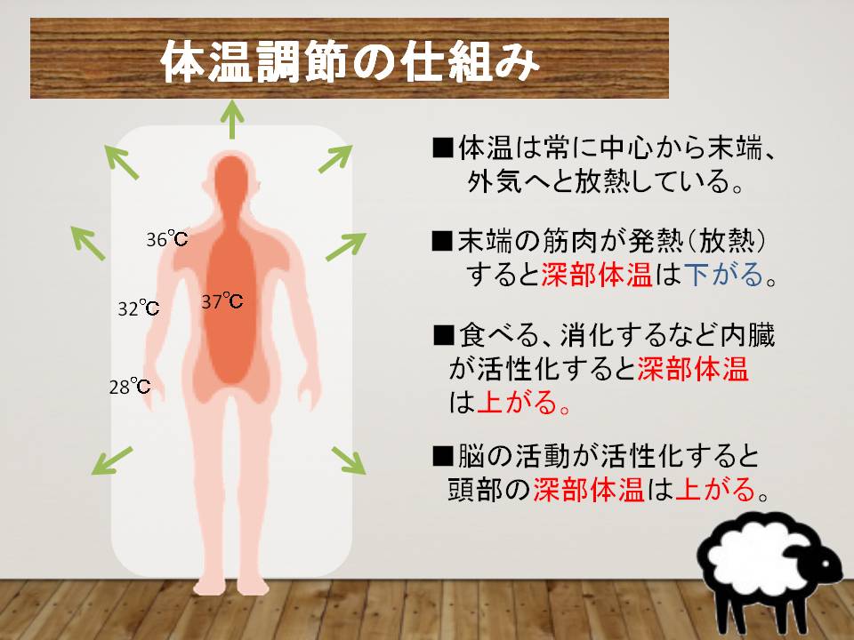 体温調節の仕組み