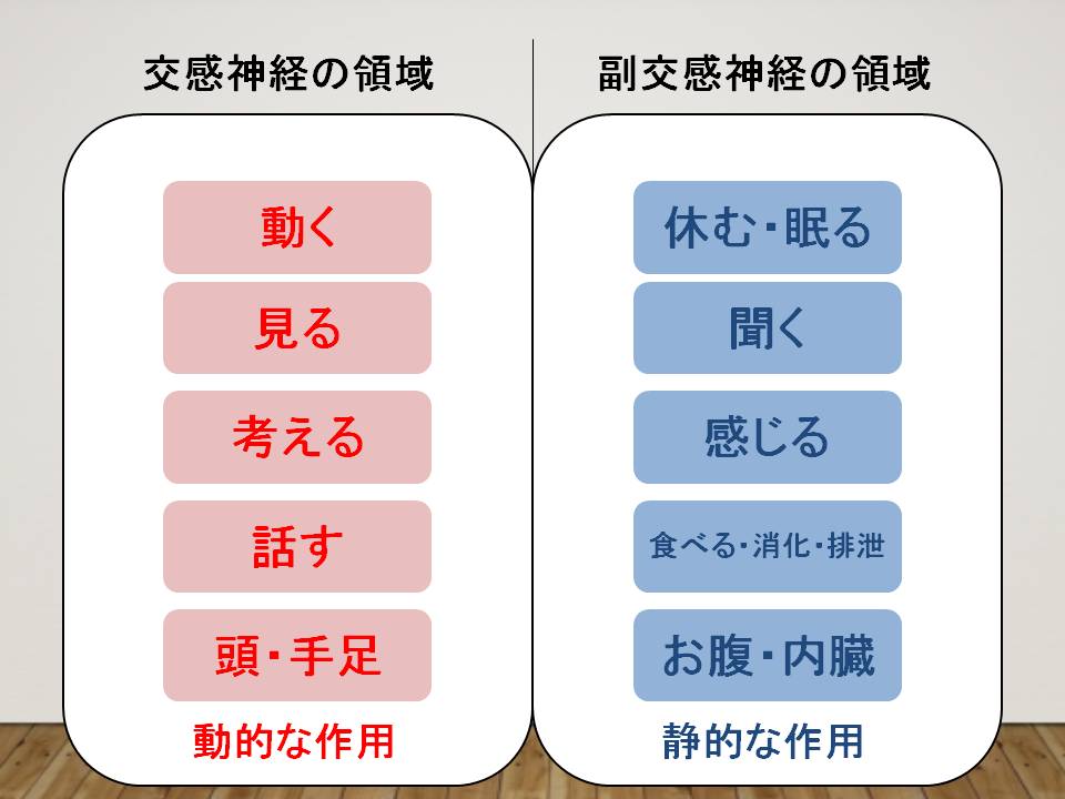 女性の健康と社会環境