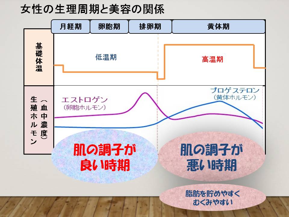 美と生殖ホルモンについて