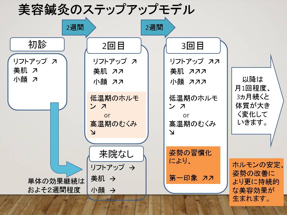美容鍼灸の通院サイクルモデル