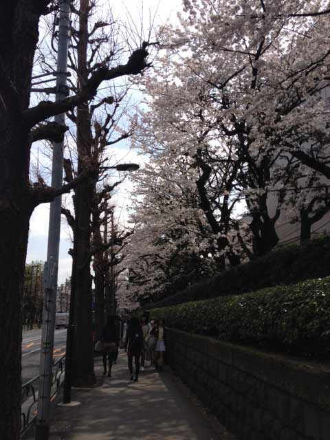 MARKS鍼灸整骨院